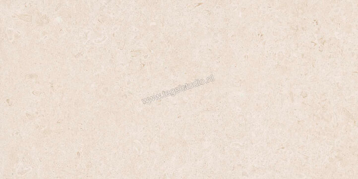  Ragno Eterna Blanco 60x120 cm Vloertegel / Wandtegel Mat Vlak Naturale R8JK | 365869