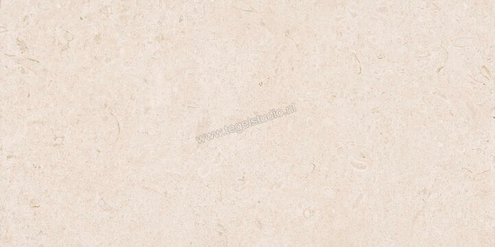  Ragno Eterna Blanco 60x120 cm Vloertegel / Wandtegel Mat Vlak Naturale R8JK | 365872