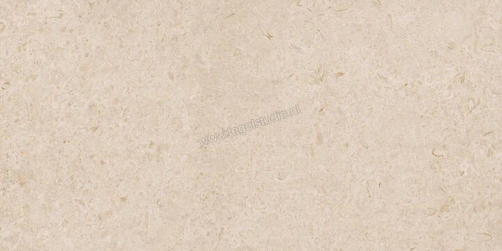  Ragno Eterna Arena 60x120 cm Vloertegel / Wandtegel Mat Vlak Naturale R8JL | 365878