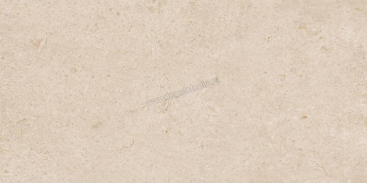  Ragno Eterna Arena 60x120 cm Vloertegel / Wandtegel Mat Vlak Naturale R8JL | 365881