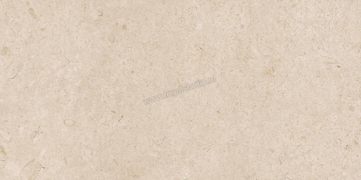  Ragno Eterna Arena 60x120 cm Vloertegel / Wandtegel Mat Vlak Naturale R8JL | 365884