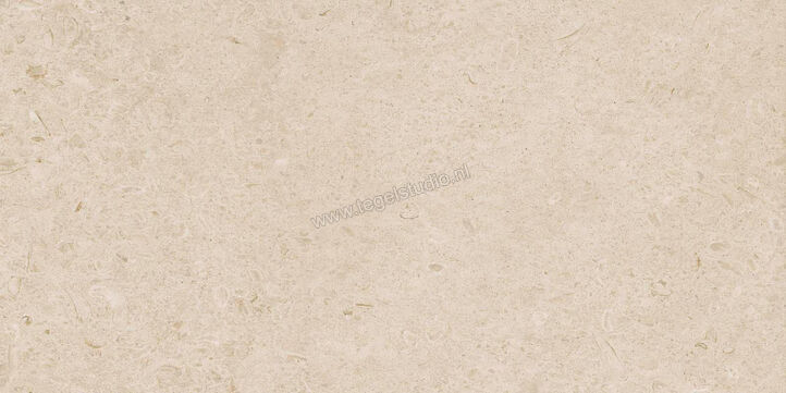 Ragno Eterna Arena 60x120 cm Vloertegel / Wandtegel Mat Vlak Naturale R8JL | 365887