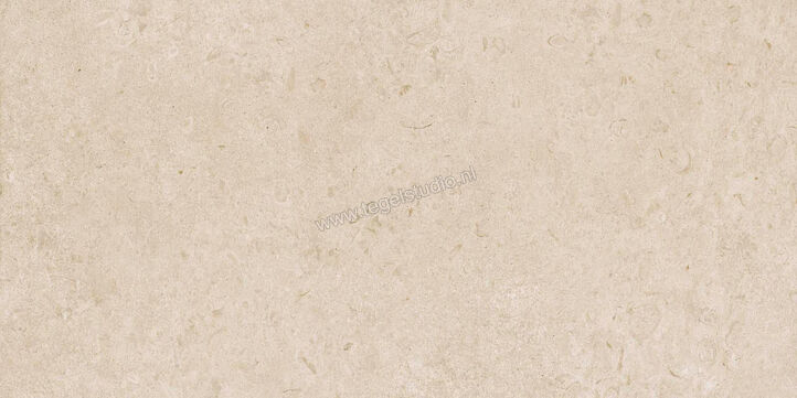  Ragno Eterna Arena 60x120 cm Vloertegel / Wandtegel Mat Vlak Naturale R8JL | 365890