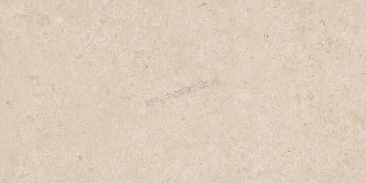  Ragno Eterna Arena 60x120 cm Vloertegel / Wandtegel Mat Vlak Naturale R8JL | 365893