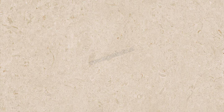  Ragno Eterna Arena 60x120 cm Vloertegel / Wandtegel Mat Vlak Naturale R8JL | 365896