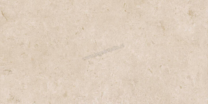  Ragno Eterna Arena 60x120 cm Vloertegel / Wandtegel Mat Vlak Naturale R8JL | 365899