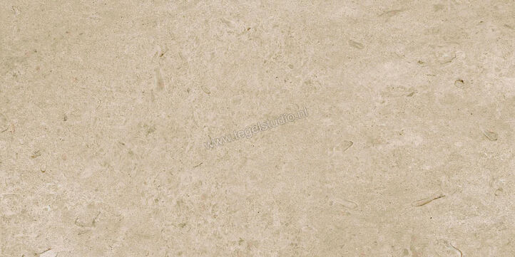  Ragno Eterna Greige 60x120 cm Vloertegel / Wandtegel Mat Vlak Naturale R8JM | 365902