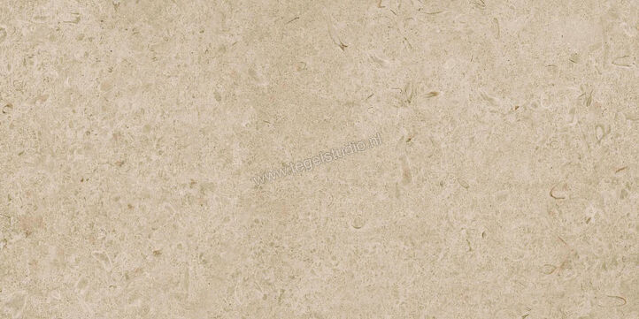  Ragno Eterna Greige 60x120 cm Vloertegel / Wandtegel Mat Vlak Naturale R8JM | 365905