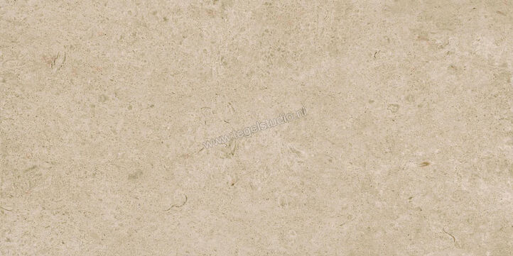  Ragno Eterna Greige 60x120 cm Vloertegel / Wandtegel Mat Vlak Naturale R8JM | 365908