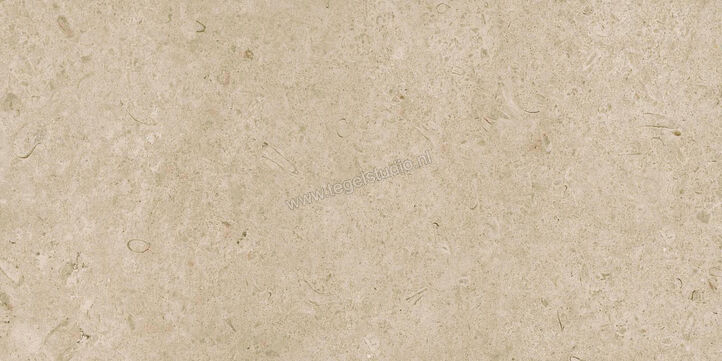  Ragno Eterna Greige 60x120 cm Vloertegel / Wandtegel Mat Vlak Naturale R8JM | 365911
