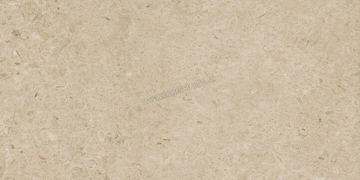  Ragno Eterna Greige 60x120 cm Vloertegel / Wandtegel Mat Vlak Naturale R8JM | 365914