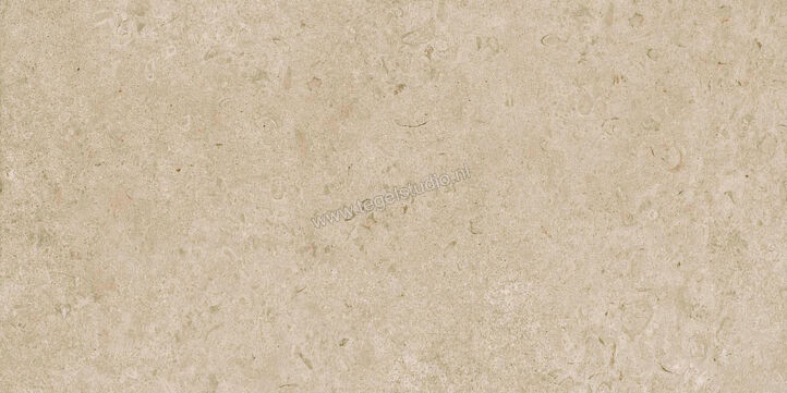  Ragno Eterna Greige 60x120 cm Vloertegel / Wandtegel Mat Vlak Naturale R8JM | 365917