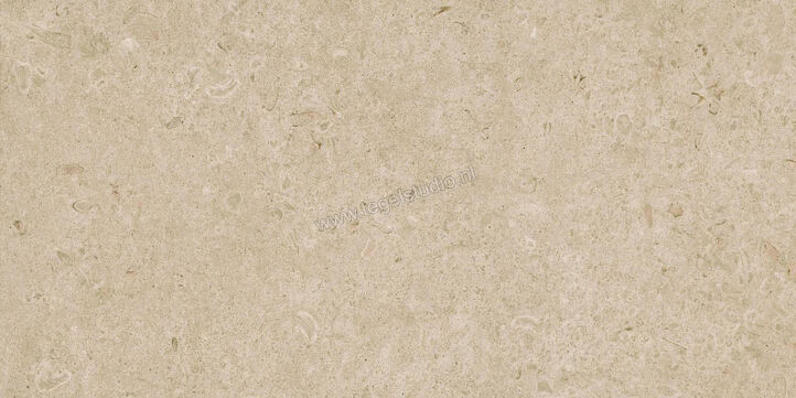  Ragno Eterna Greige 60x120 cm Vloertegel / Wandtegel Mat Vlak Naturale R8JM | 365920