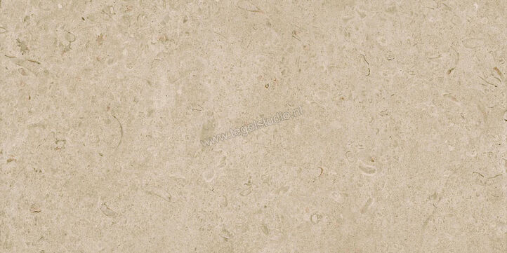  Ragno Eterna Greige 60x120 cm Vloertegel / Wandtegel Mat Vlak Naturale R8JM | 365923