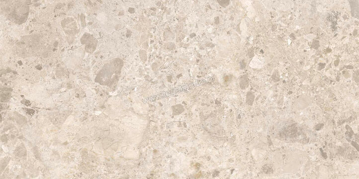  Ragno Eterna Mix Beige 60x120 cm Vloertegel / Wandtegel Mat Vlak Naturale R8JP | 365962