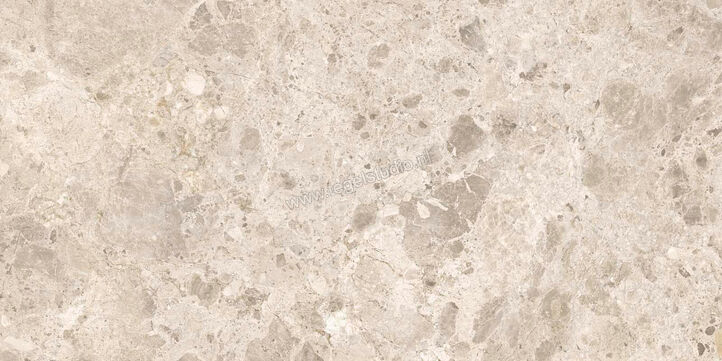  Ragno Eterna Mix Beige 60x120 cm Vloertegel / Wandtegel Mat Vlak Naturale R8JP | 365968