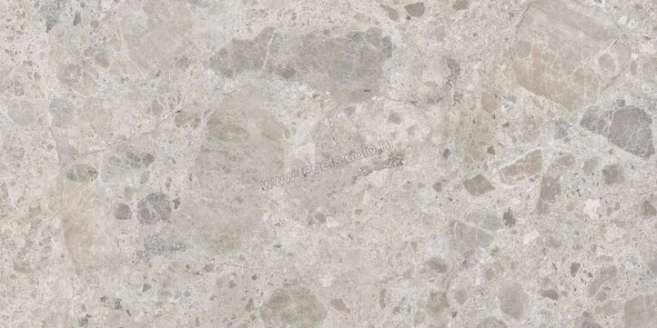  Ragno Eterna Mix Gris 60x120 cm Vloertegel / Wandtegel Mat Vlak Naturale R8JQ | 365974