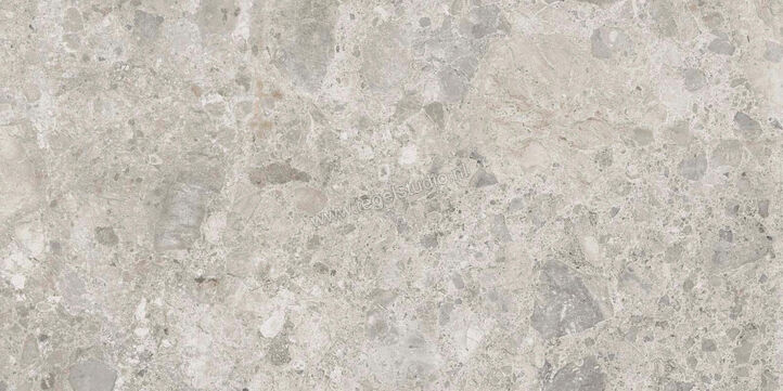  Ragno Eterna Mix Gris 60x120 cm Vloertegel / Wandtegel Mat Vlak Naturale R8JQ | 365977