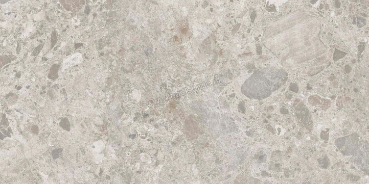  Ragno Eterna Mix Gris 60x120 cm Vloertegel / Wandtegel Mat Vlak Naturale R8JQ | 365980