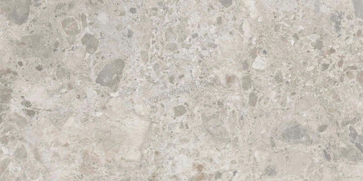  Ragno Eterna Mix Gris 60x120 cm Vloertegel / Wandtegel Mat Vlak Naturale R8JQ | 365986