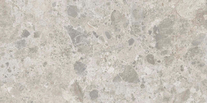 Ragno Eterna Mix Gris 60x120 cm Vloertegel / Wandtegel Mat Vlak Naturale R8JQ | 365989