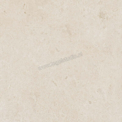 Ragno Eterna Blanco 60x60 cm Vloertegel / Wandtegel Mat Vlak Naturale R8JS | 365998