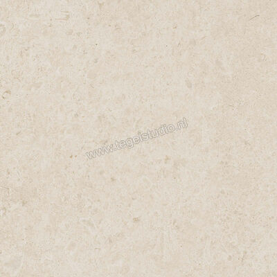  Ragno Eterna Blanco 60x60 cm Vloertegel / Wandtegel Mat Vlak Naturale R8JS | 366001