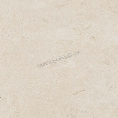  Ragno Eterna Blanco 60x60 cm Vloertegel / Wandtegel Mat Vlak Naturale R8JS | 366004
