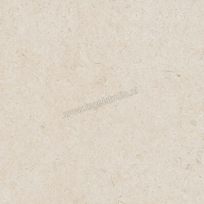 Ragno Eterna Blanco 60x60 cm Vloertegel / Wandtegel Mat Vlak Naturale R8JS | 366007