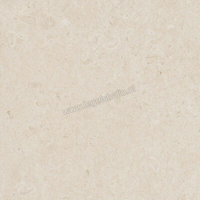 Ragno Eterna Blanco 60x60 cm Vloertegel / Wandtegel Mat Vlak Naturale R8JS | 366010