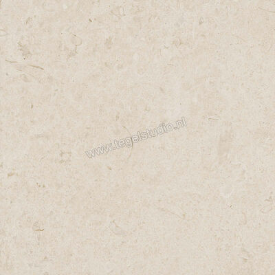  Ragno Eterna Blanco 60x60 cm Vloertegel / Wandtegel Mat Vlak Naturale R8JS | 366013