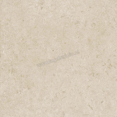  Ragno Eterna Arena 60x60 cm Vloertegel / Wandtegel Mat Vlak Naturale R8JT | 366028
