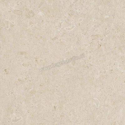  Ragno Eterna Arena 60x60 cm Vloertegel / Wandtegel Mat Vlak Naturale R8JT | 366031