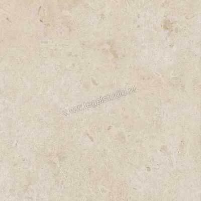  Ragno Eterna Arena 60x60 cm Vloertegel / Wandtegel Mat Vlak Naturale R8JT | 366037