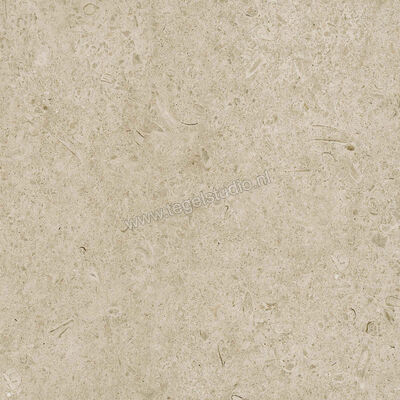  Ragno Eterna Greige 60x60 cm Vloertegel / Wandtegel Mat Vlak Naturale R8JU | 366046