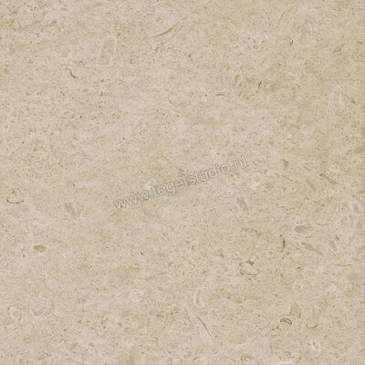  Ragno Eterna Greige 60x60 cm Vloertegel / Wandtegel Mat Vlak Naturale R8JU | 366049