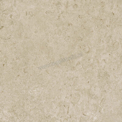  Ragno Eterna Greige 60x60 cm Vloertegel / Wandtegel Mat Vlak Naturale R8JU | 366052
