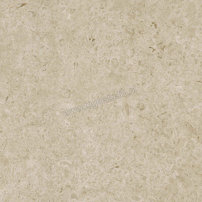  Ragno Eterna Greige 60x60 cm Vloertegel / Wandtegel Mat Vlak Naturale R8JU | 366055