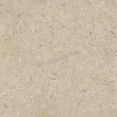  Ragno Eterna Greige 60x60 cm Vloertegel / Wandtegel Mat Vlak Naturale R8JU | 366058