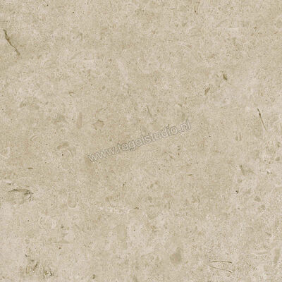  Ragno Eterna Greige 60x60 cm Vloertegel / Wandtegel Mat Vlak Naturale R8JU | 366061