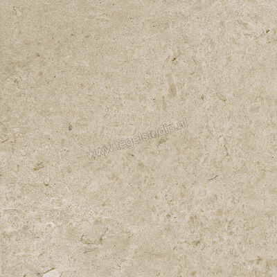  Ragno Eterna Greige 60x60 cm Vloertegel / Wandtegel Mat Vlak Naturale R8JU | 366064