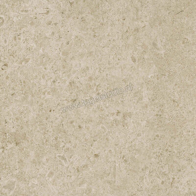  Ragno Eterna Greige 60x60 cm Vloertegel / Wandtegel Mat Vlak Naturale R8JU | 366067