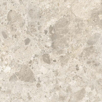  Ragno Eterna Mix Beige 60x60 cm Vloertegel / Wandtegel Mat Vlak Naturale R8JW | 366106