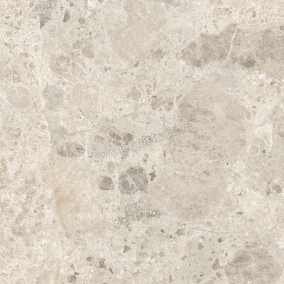  Ragno Eterna Mix Beige 60x60 cm Vloertegel / Wandtegel Mat Vlak Naturale R8JW | 366115