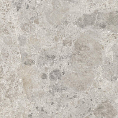  Ragno Eterna Mix Gris 60x60 cm Vloertegel / Wandtegel Mat Vlak Naturale R8JX | 366118