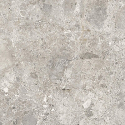  Ragno Eterna Mix Gris 60x60 cm Vloertegel / Wandtegel Mat Vlak Naturale R8JX | 366121