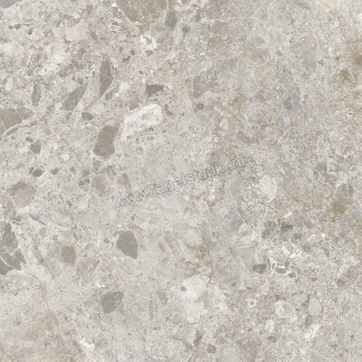  Ragno Eterna Mix Gris 60x60 cm Vloertegel / Wandtegel Mat Vlak Naturale R8JX | 366124
