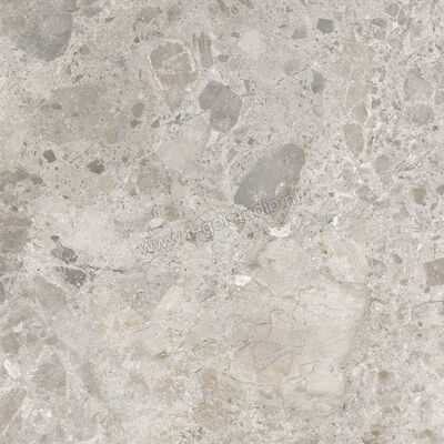  Ragno Eterna Mix Gris 60x60 cm Vloertegel / Wandtegel Mat Vlak Naturale R8JX | 366130