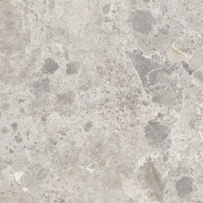  Ragno Eterna Mix Gris 60x60 cm Vloertegel / Wandtegel Mat Vlak Naturale R8JX | 366133