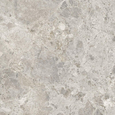  Ragno Eterna Mix Gris 60x60 cm Vloertegel / Wandtegel Mat Vlak Naturale R8JX | 366136